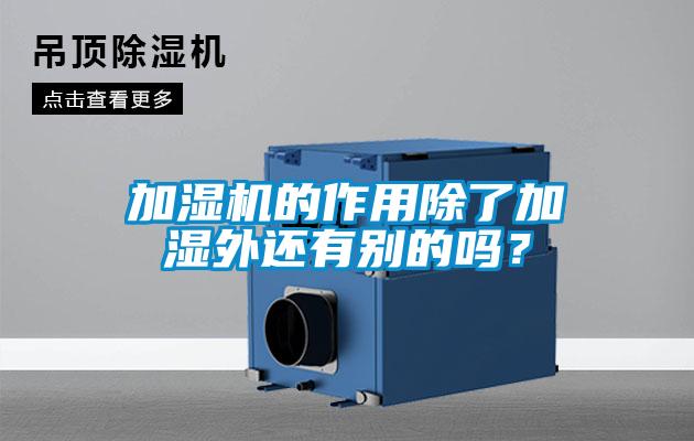 加湿机的作用除了加湿外还有别的吗？