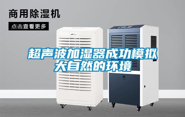 超声波加湿器成功模拟大自然的环境