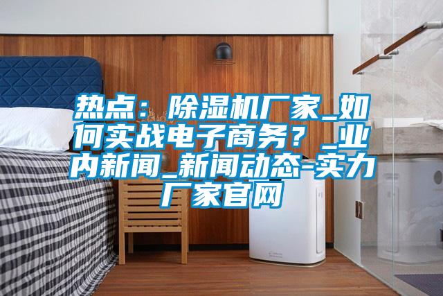 热点：除湿机厂家_如何实战电子商务？_业内新闻_新闻动态-实力厂家官网