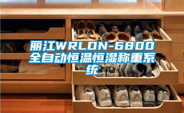 丽江WRLDN-6800全自动恒温恒湿称重系统