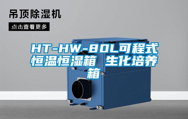 HT-HW-80L可程式恒温恒湿箱 生化培养箱