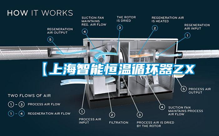 【上海智能恒温循环器ZX