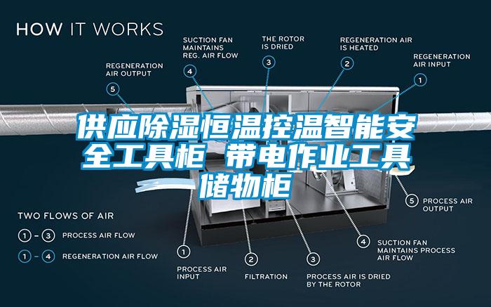 供应除湿恒温控温智能安全工具柜 带电作业工具储物柜