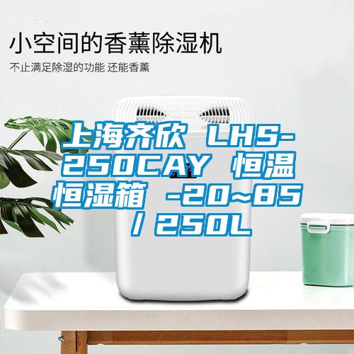 上海齐欣 LHS-250CAY 恒温恒湿箱 -20~85℃／250L