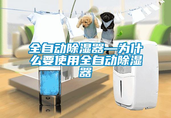 全自动除湿器—为什么要使用全自动除湿器