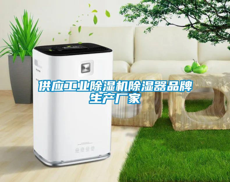 供应工业除湿机除湿器品牌生产厂家