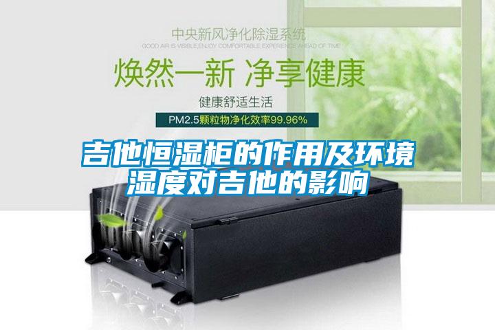 吉他恒湿柜的作用及环境湿度对吉他的影响