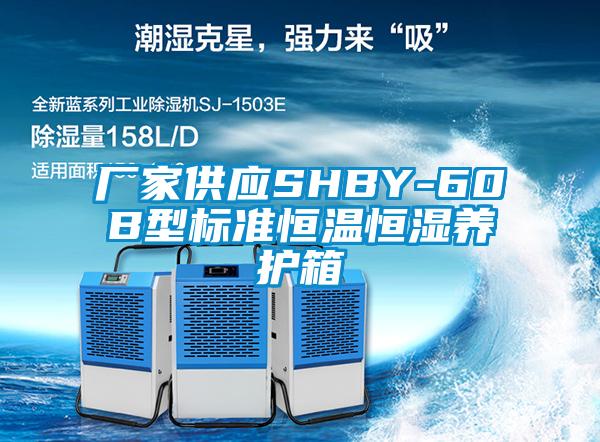 厂家供应SHBY-60B型标准恒温恒湿养护箱