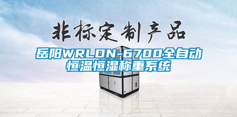 岳阳WRLDN-6700全自动恒温恒湿称重系统