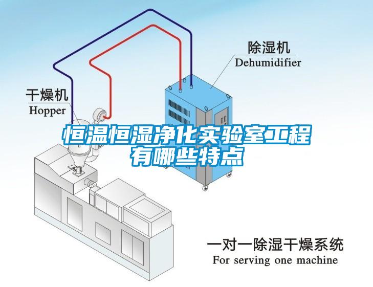 恒温恒湿净化实验室工程有哪些特点