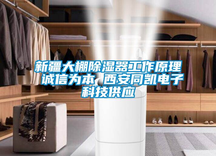 新疆大棚除湿器工作原理 诚信为本 西安同凯电子科技供应