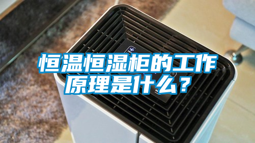 恒温恒湿柜的工作原理是什么？