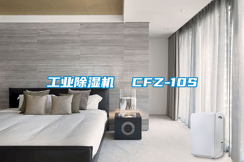 工业除湿机  CFZ-10S