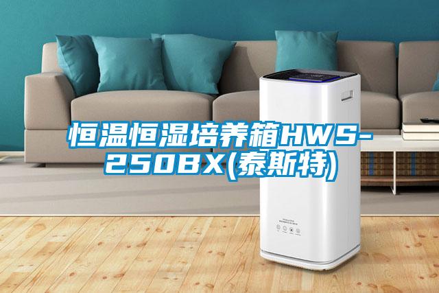 恒温恒湿培养箱HWS-250BX(泰斯特)