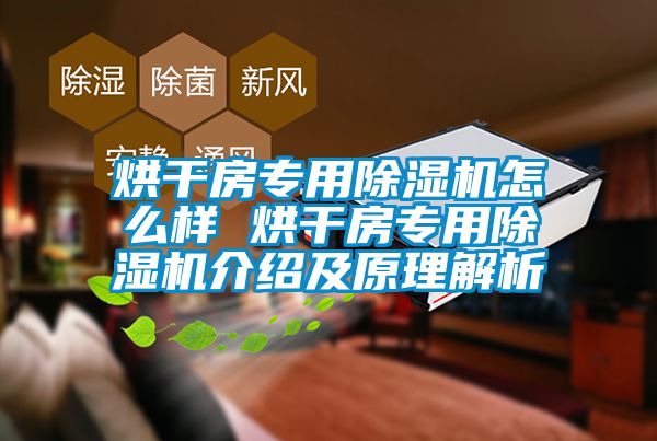 烘干房专用除湿机怎么样 烘干房专用除湿机介绍及原理解析