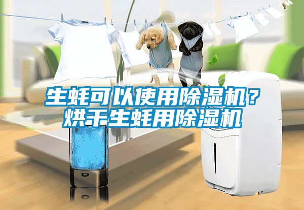 生蚝可以使用除湿机？烘干生蚝用除湿机