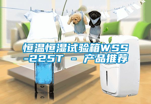 恒温恒湿试验箱WSS-225T - 产品推荐