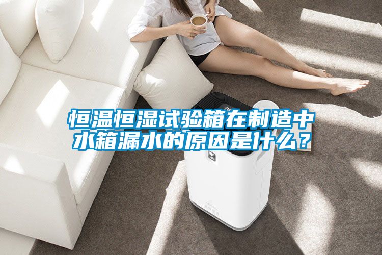 恒温恒湿试验箱在制造中水箱漏水的原因是什么？