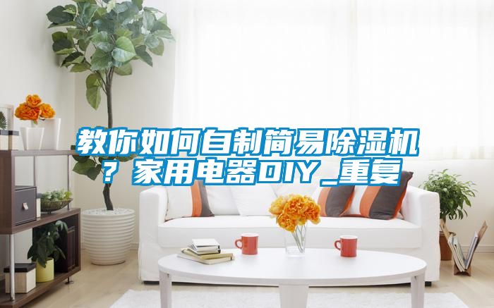 教你如何自制简易除湿机？家用电器DIY_重复