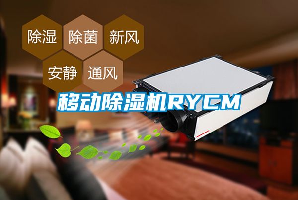 移动除湿机RYCM