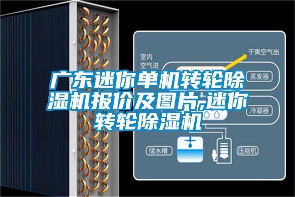 广东迷你单机转轮除湿机报价及图片,迷你转轮除湿机