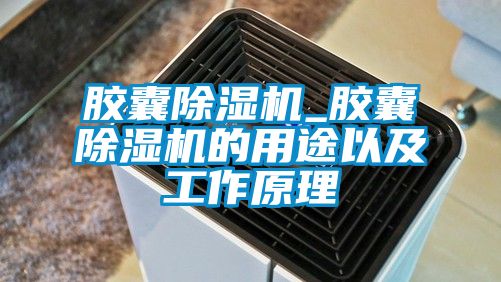 胶囊除湿机_胶囊除湿机的用途以及工作原理