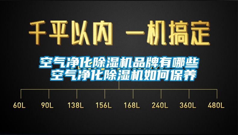 空气净化除湿机品牌有哪些 空气净化除湿机如何保养