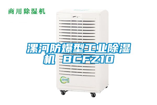 漯河防爆型工业除湿机 BCFZ10