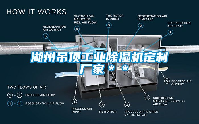 湖州吊顶工业除湿机定制 厂家＊＊