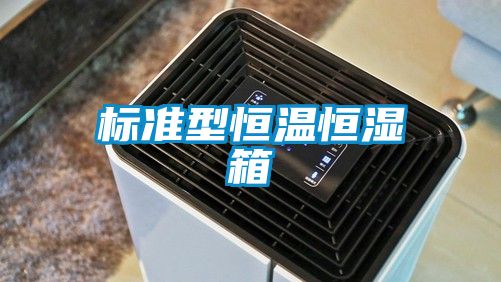 标准型恒温恒湿箱