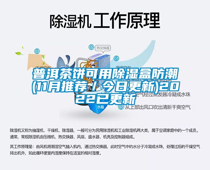 普洱茶饼可用除湿盒防潮(11月推荐／今日更新)2022已更新