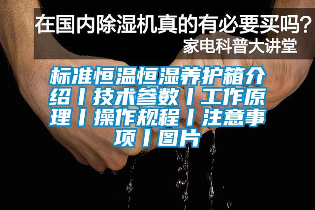 标准恒温恒湿养护箱介绍丨技术参数丨工作原理丨操作规程丨注意事项丨图片