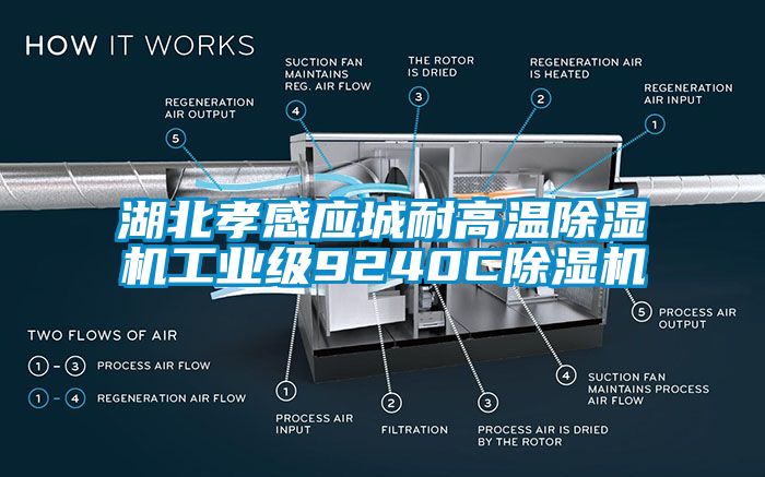 湖北孝感应城耐高温除湿机工业级9240C除湿机