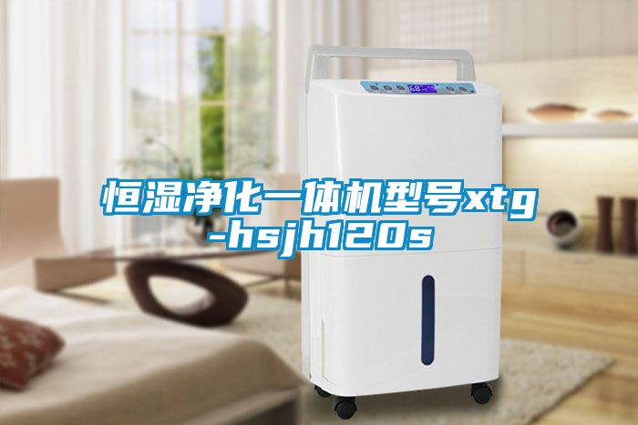 恒湿净化一体机型号xtg-hsjh120s