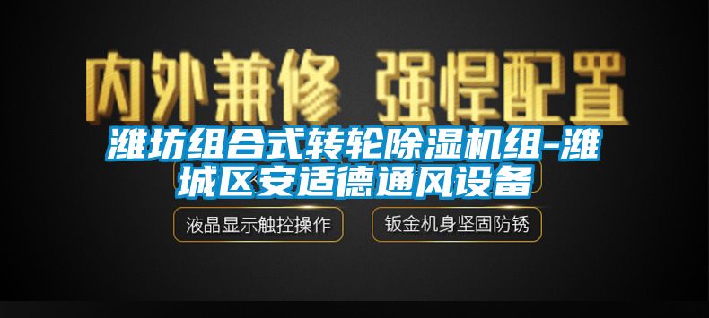 潍坊组合式转轮除湿机组-潍城区安适德通风设备