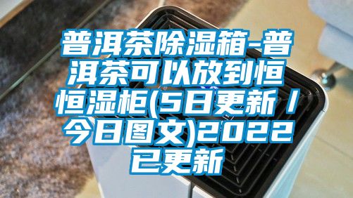 普洱茶除湿箱-普洱茶可以放到恒恒湿柜(5日更新／今日图文)2022已更新