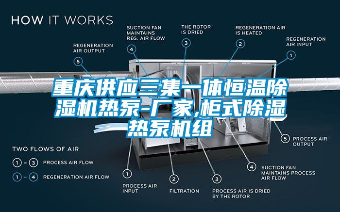 重庆供应三集一体恒温除湿机热泵-厂家,柜式除湿热泵机组