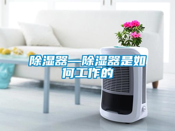 除湿器—除湿器是如何工作的