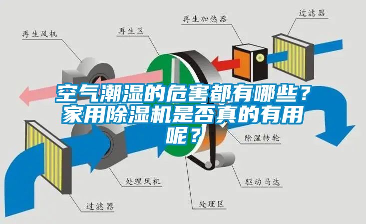 空气潮湿的危害都有哪些？家用除湿机是否真的有用呢？