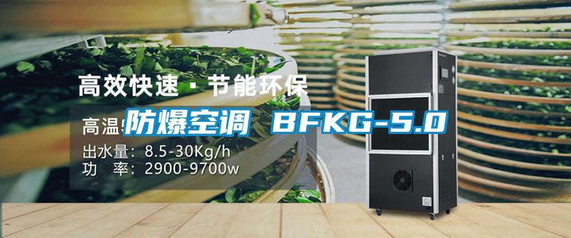 防爆空调 BFKG-5.0