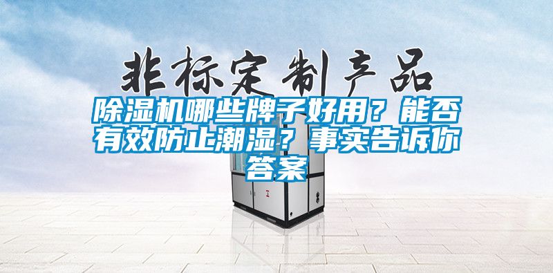 除湿机哪些牌子好用？能否有效防止潮湿？事实告诉你答案