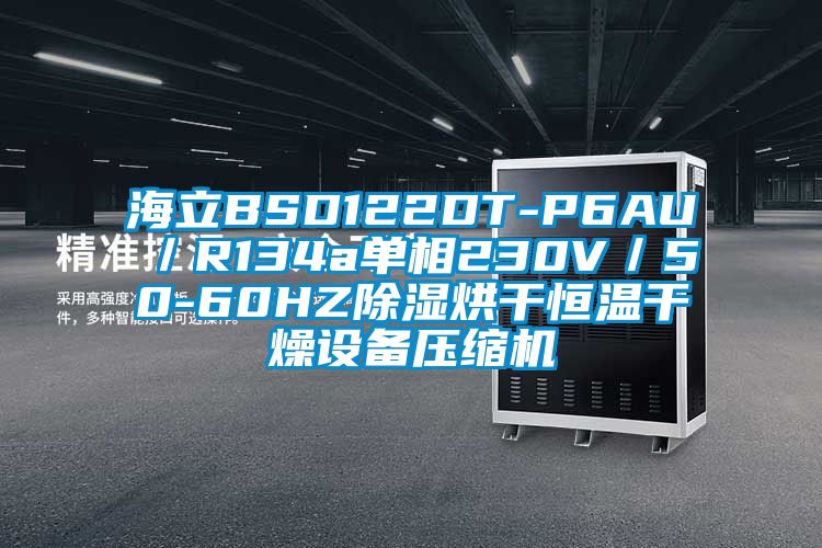 海立BSD122DT-P6AU／R134a单相230V／50-60HZ除湿烘干恒温干燥设备压缩机