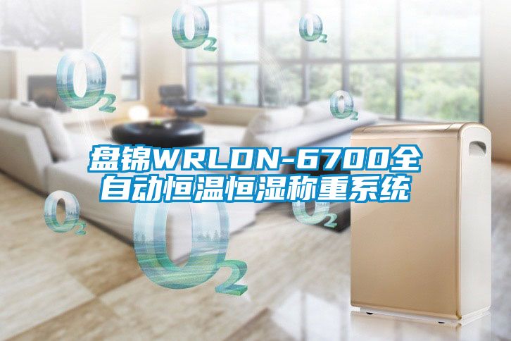 盘锦WRLDN-6700全自动恒温恒湿称重系统