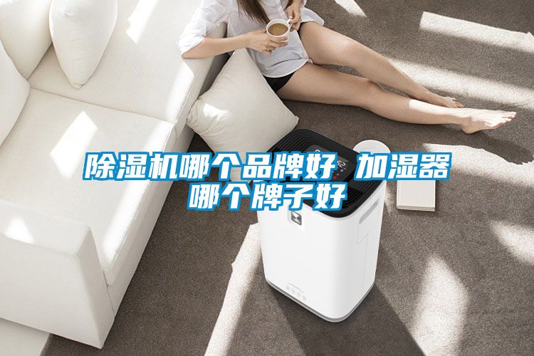 除湿机哪个品牌好 加湿器哪个牌子好