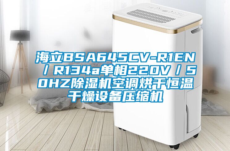 海立BSA645CV-R1EN／R134a单相220V／50HZ除湿机空调烘干恒温干燥设备压缩机