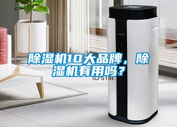 除湿机10大品牌，除湿机有用吗？