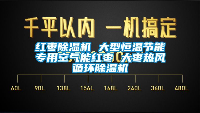 红枣除湿机 大型恒温节能专用空气能红枣 大枣热风循环除湿机