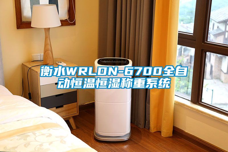 衡水WRLDN-6700全自动恒温恒湿称重系统