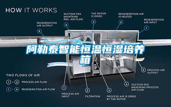 阿勒泰智能恒温恒湿培养箱