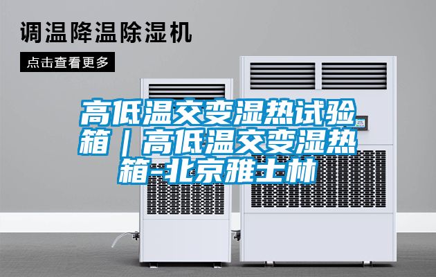 高低温交变湿热试验箱｜高低温交变湿热箱-北京雅士林